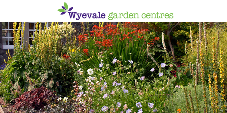 Wyevale Garden Centre Gift Card
